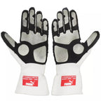 2010 Fernando Alonso F1 Race Gloves - Japanese GP - Speedxcrafts