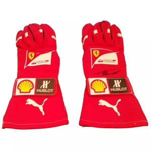 2014 Fernando Alonso gloves - Abu Dhabi GP - Speedxcrafts