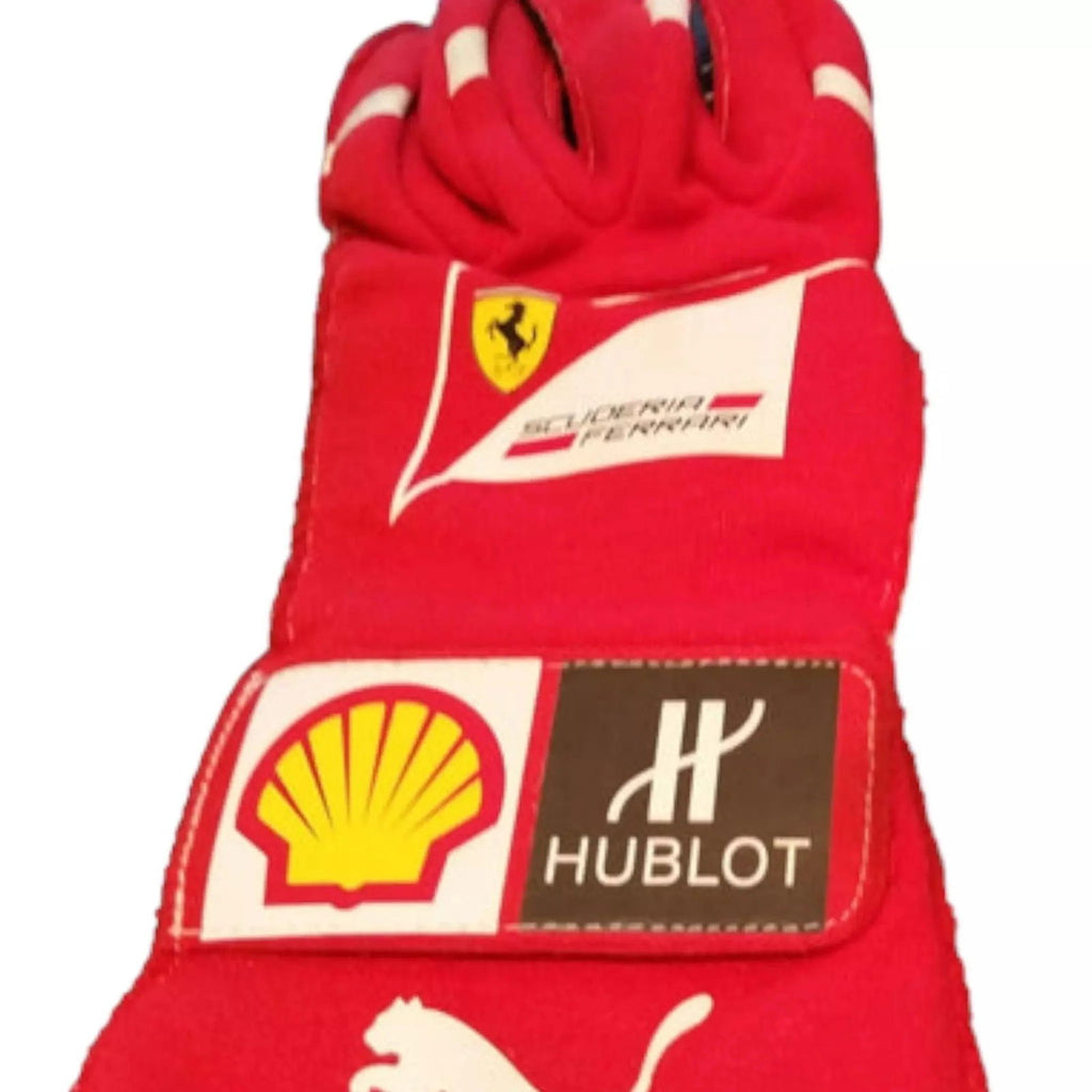 2014 Fernando Alonso gloves - Abu Dhabi GP - Speedxcrafts