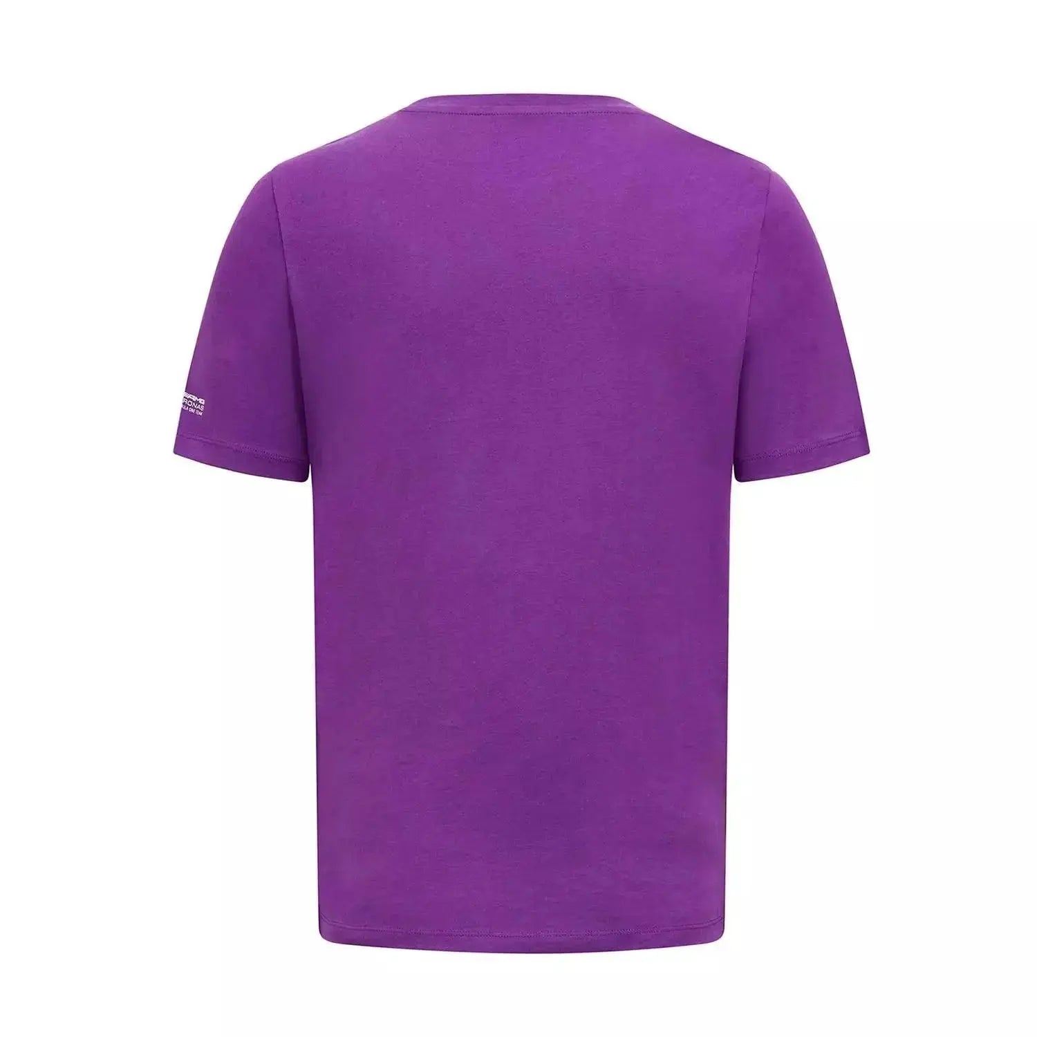 Mercedes-AMG Petronas Hamilton 2023 Sports T-Shirt