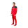 New Charles Leclerc 2023 Race Suit Ferrari F1 - Speedxcrafts