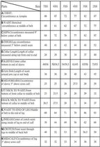 STR Youth SFI 3.2A/1 Approved Race Suit - Speedxcrafts
